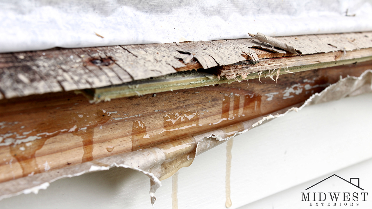 Damaged sheathing and moisture deterioration behind old siding
